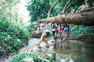 BIB: 
                            <button type="button" onclick="openModal(25463803)" class="btn btn-primary btn-sm float-right btn-popup" data-toggle="modal" data-target=".modal-high-quality">
                        <i class="fas fa-shopping-cart"></i> Add to Cart
                    </button>
                                            <button type="button" onclick="isThisMe(25463803, true)" class="btn btn-success btn-sm float-right btn-popup btn-isme hidden" data-toggle="tooltip" data-placement="bottom" title="นี่คือรูปของคุณใช่ไหม คลิกที่นี่เพื่อเอาเข้าอัลบั้ม">
                        <i class="fas fa-plus"></i> Add to album
                    </button>
                    <button type="button" onclick="isThisMe(25463803, false)" class="btn btn-warning btn-sm float-right btn-popup btn-isnotme hidden">
                        <i class="fas fa-ban"></i> Remove from album
                    </button>